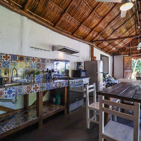 Cabana Del Jardin Pv Zona Romantica Puerto Vallarta Exteriör bild