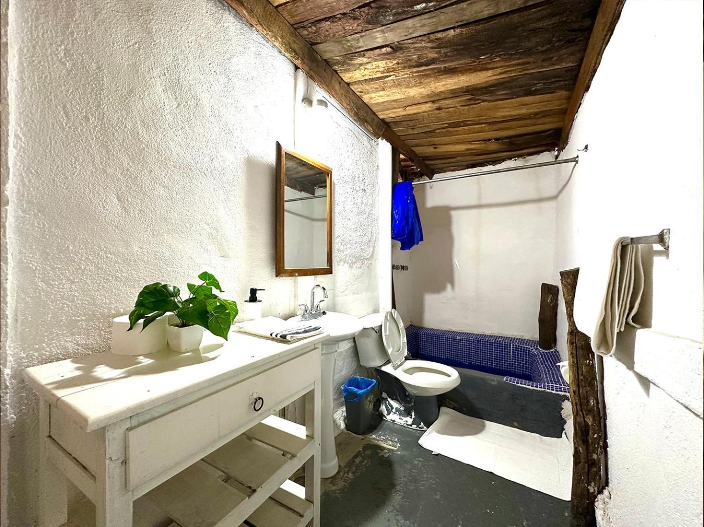 Cabana Del Jardin Pv Zona Romantica Puerto Vallarta Exteriör bild